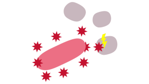 Natural Products Icon