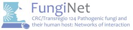 Funginet logo